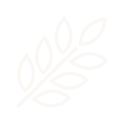 Major Allergen Free Icon