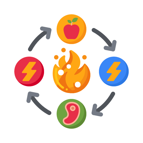 Graphic of metabolic function