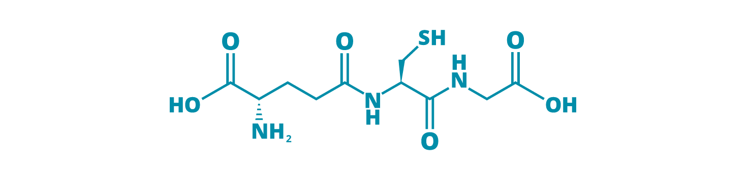 Graphic of a Glutathione molecule